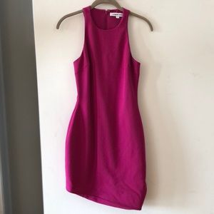 Elizabeth & James cocktail dress, worn twice